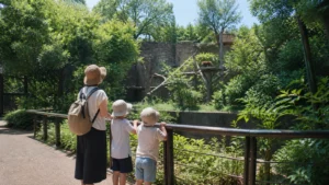 緑の多い動物園の園路から展示動物を観察する親子の編集イメージ