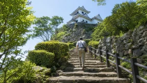 四国の城を思わせる天守と石段を訪ねる旅行者