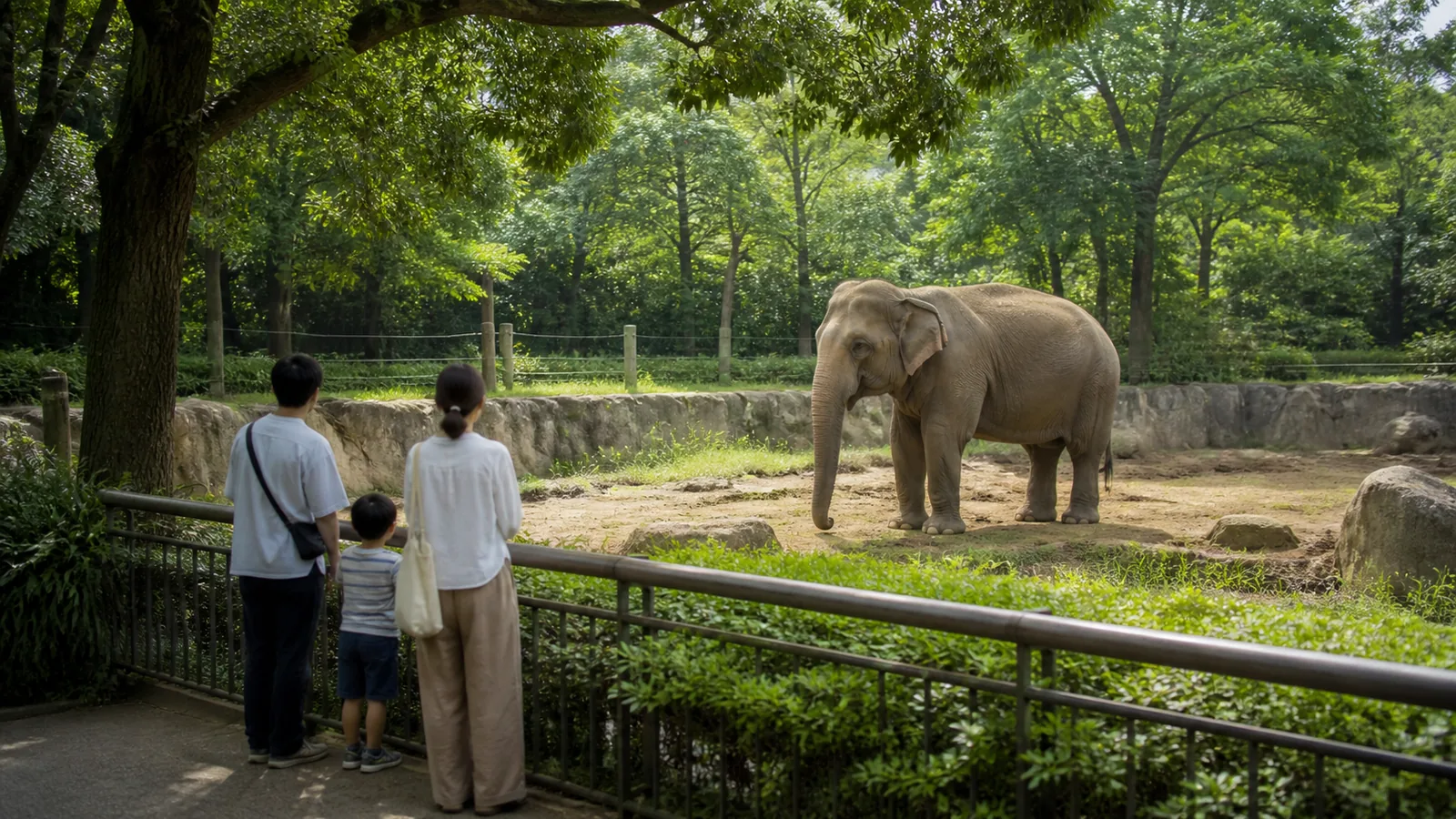 森に囲まれた動物園で親子が安全な距離からゾウを観察する編集イメージ