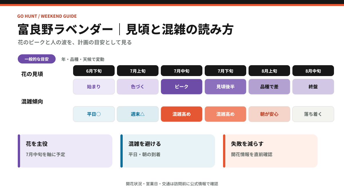 富良野ラベンダーの見頃と混雑傾向を6月下旬から8月中旬で整理した目安図