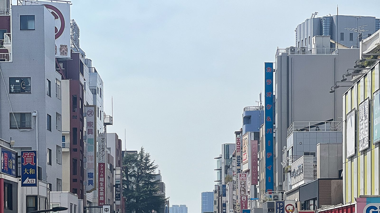 飲食店や商店の看板が並ぶ新大久保駅前の大久保通り
