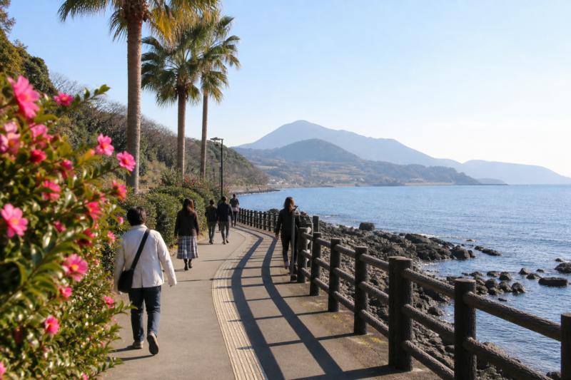 冬でも花が咲く温暖な海沿いの遊歩道