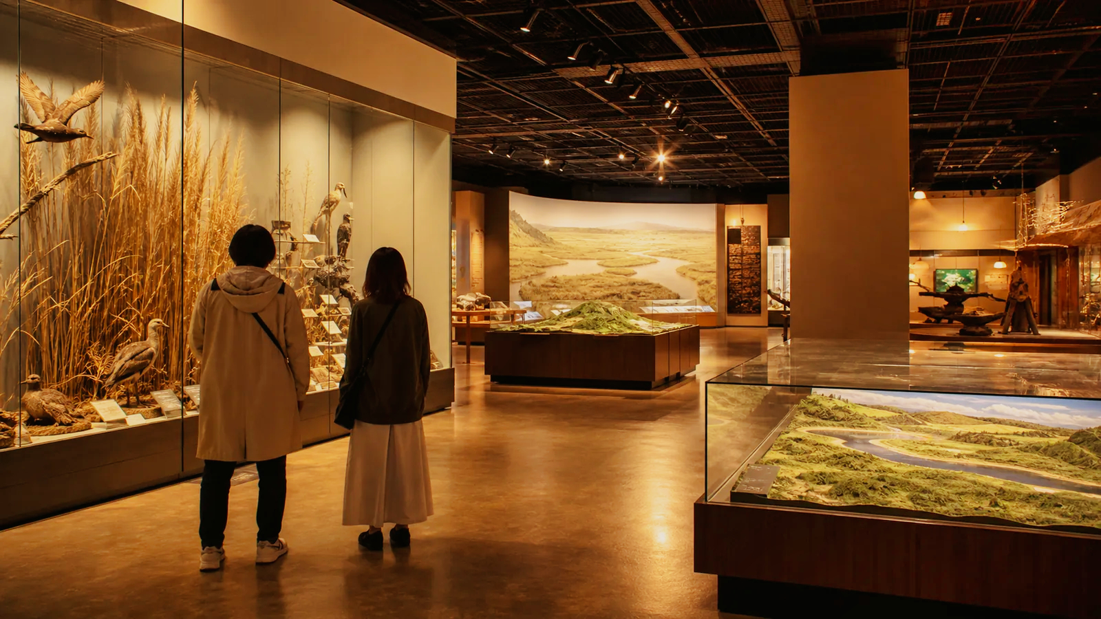 釧路の自然史と地域文化を学ぶ博物館展示の編集イメージ