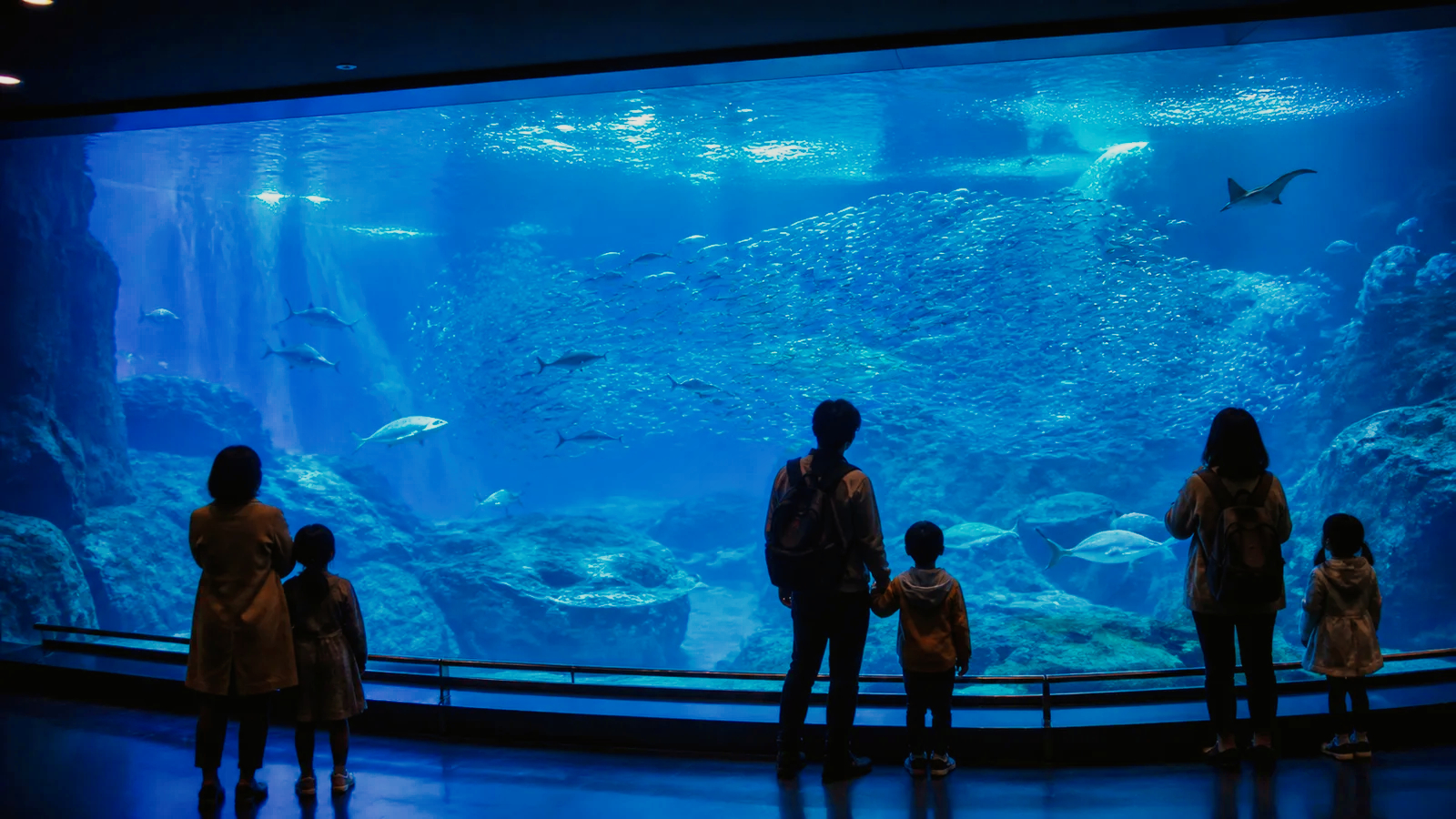 雨の日の大型水族館で青い大水槽を眺める家族