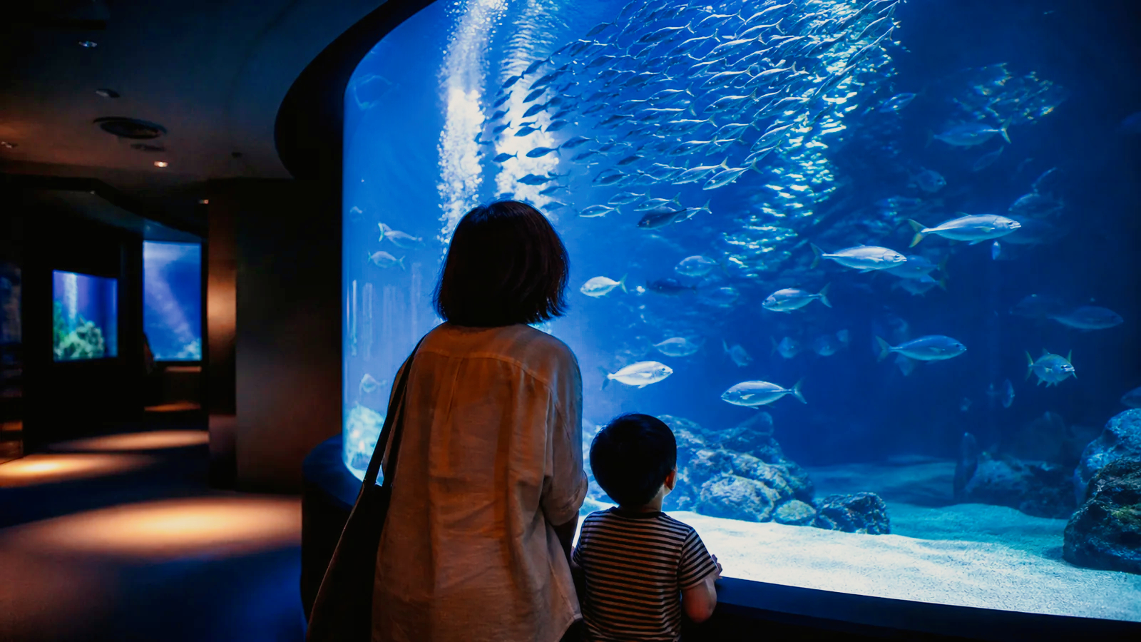都市型水族館の幻想的な水槽を親子で見上げる様子