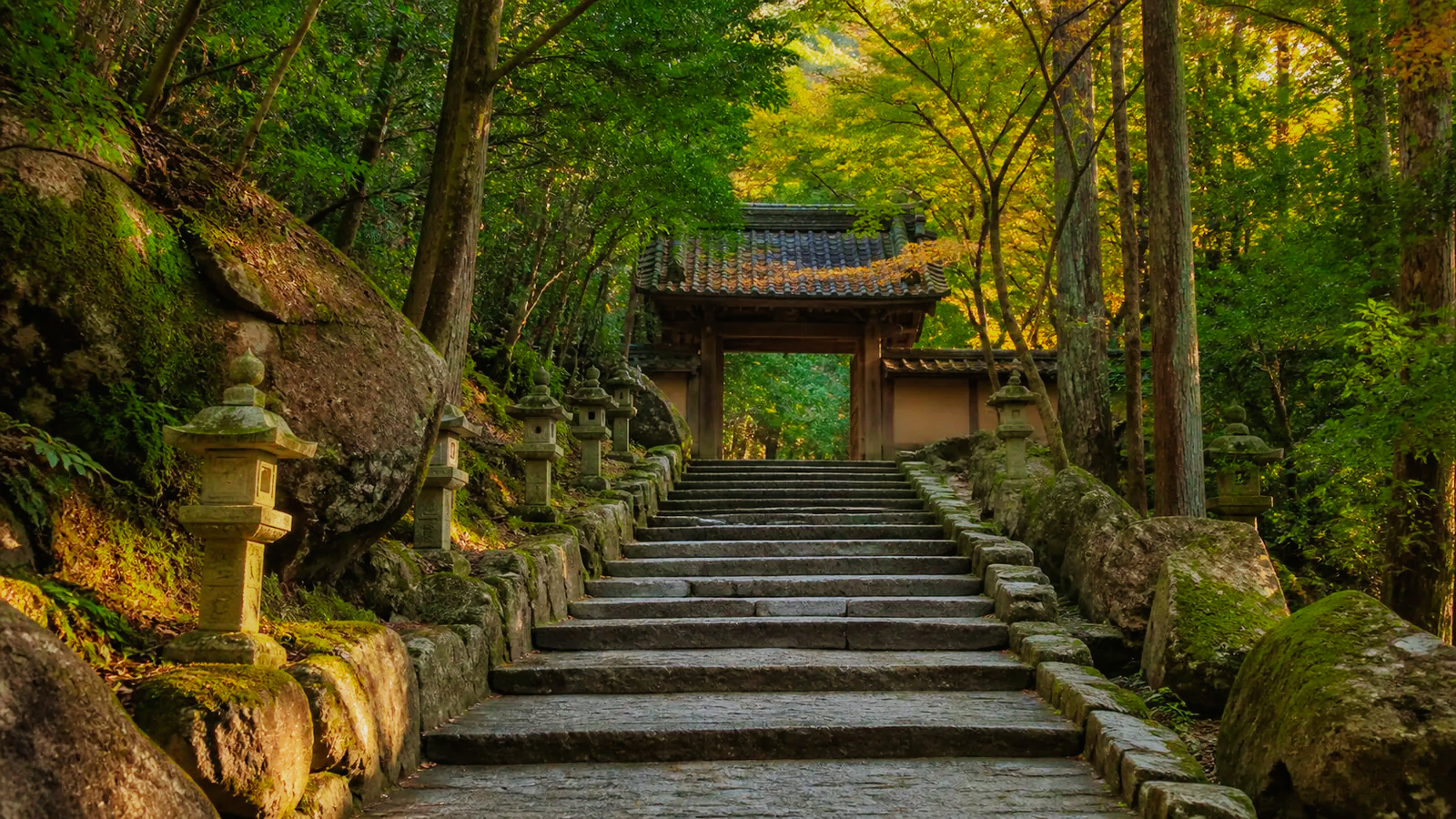 宮島の森を上る石段と寺院の門を無人で表した編集イメージ