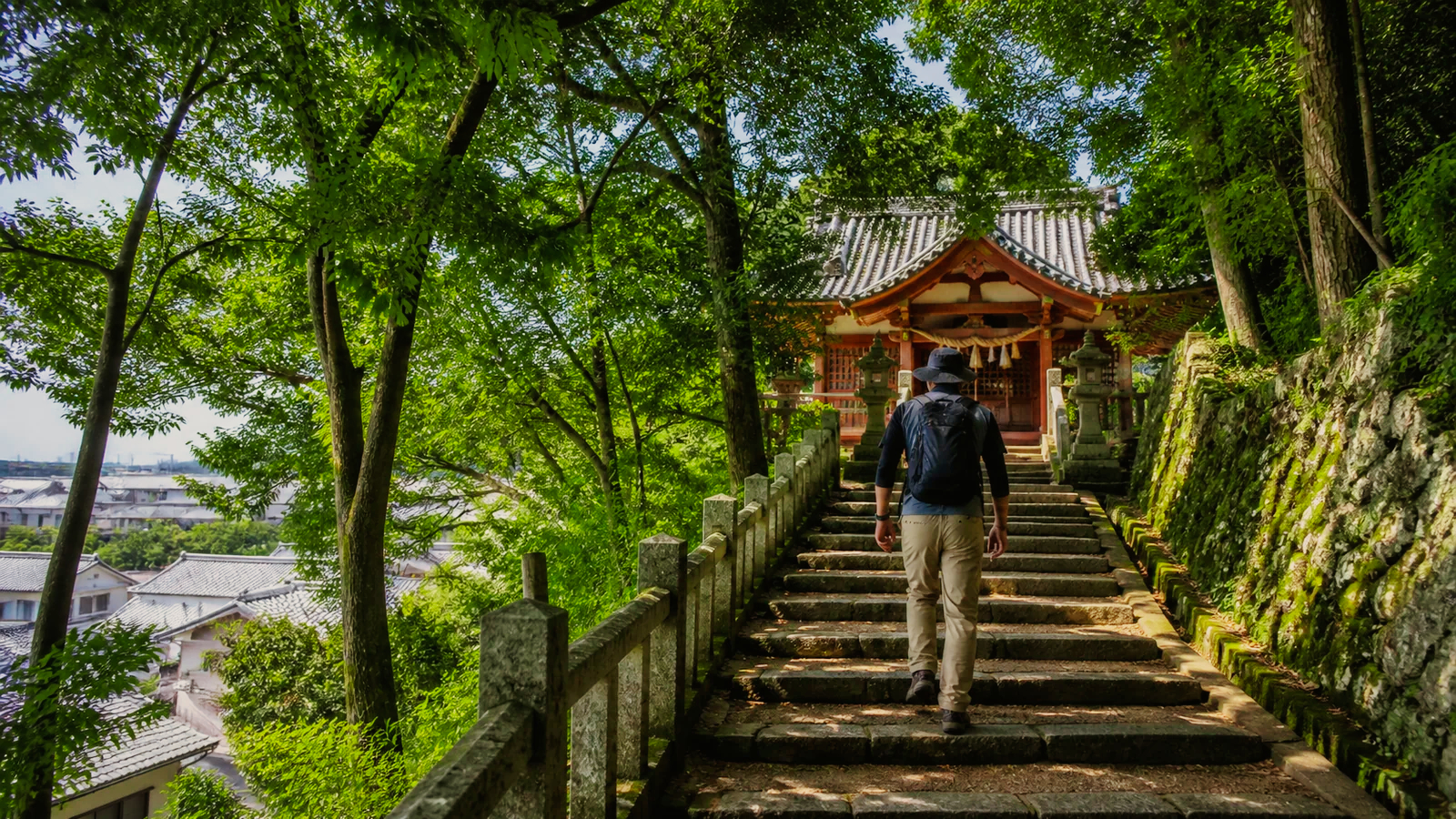 緑に包まれた石段を上り阿智神社を思わせる社殿へ向かう旅行者