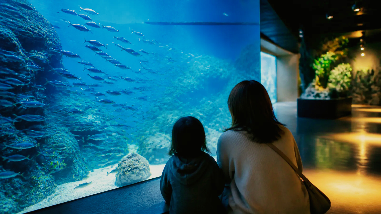 現代的な屋内水族館で青い水槽を観察する親子の編集イメージ