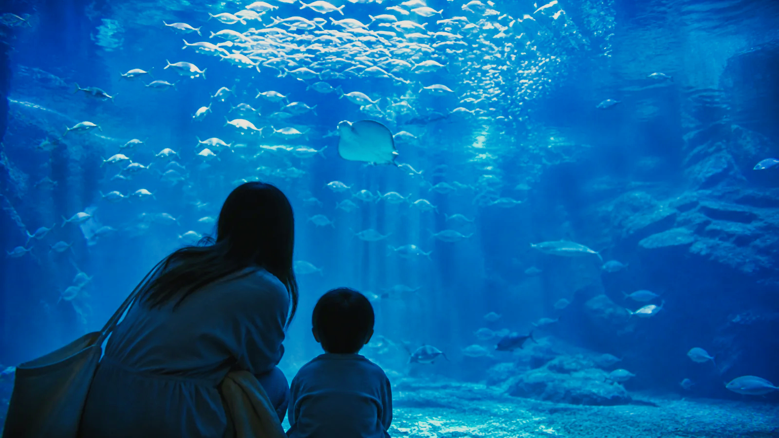 青い水槽の前で魚の群れを静かに観察する親子の編集イメージ