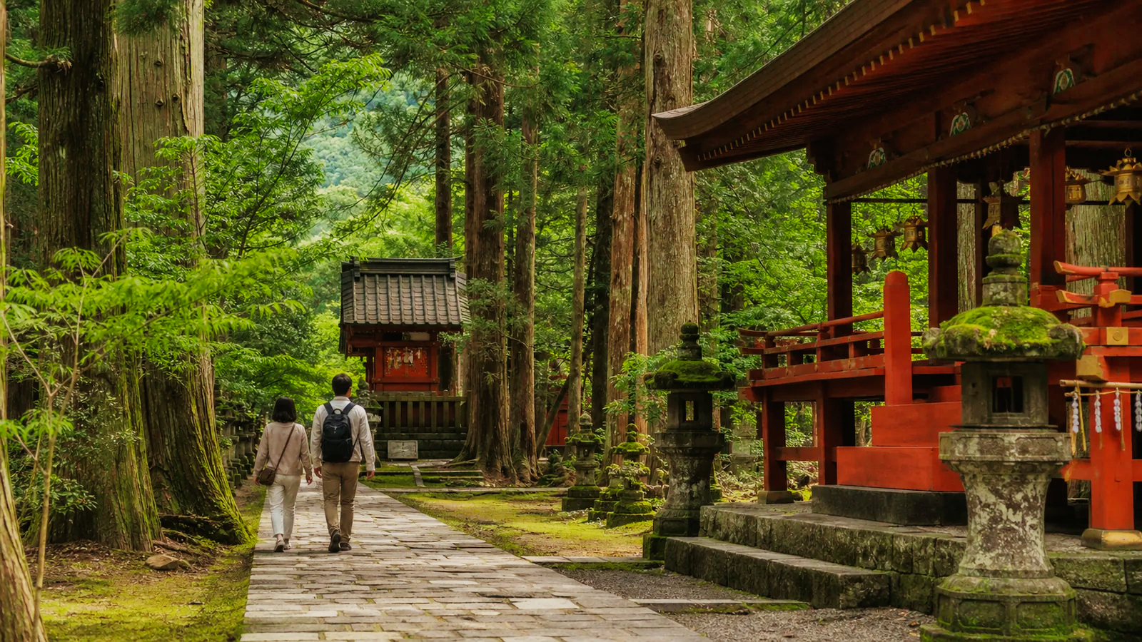 日光の杉並木に囲まれた二荒山神社を思わせる境内を歩く夫婦
