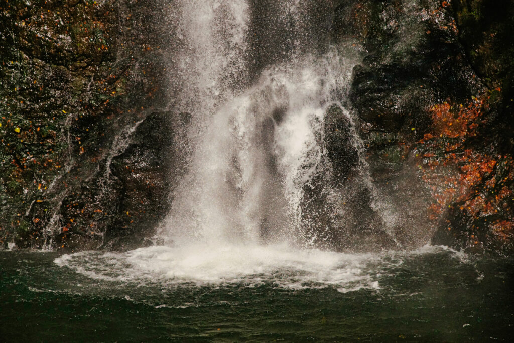 箕面大滝の落水と滝つぼ（2012年12月撮影）