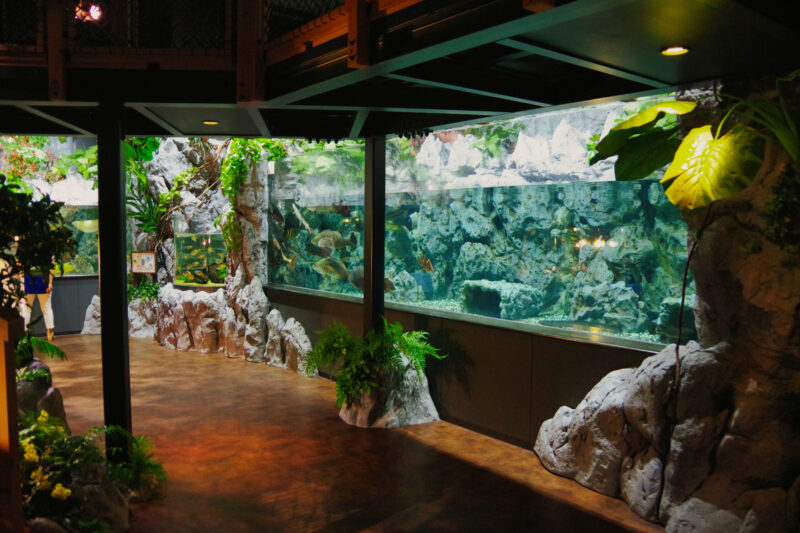 DMMかりゆし水族館の水槽展示と館内通路