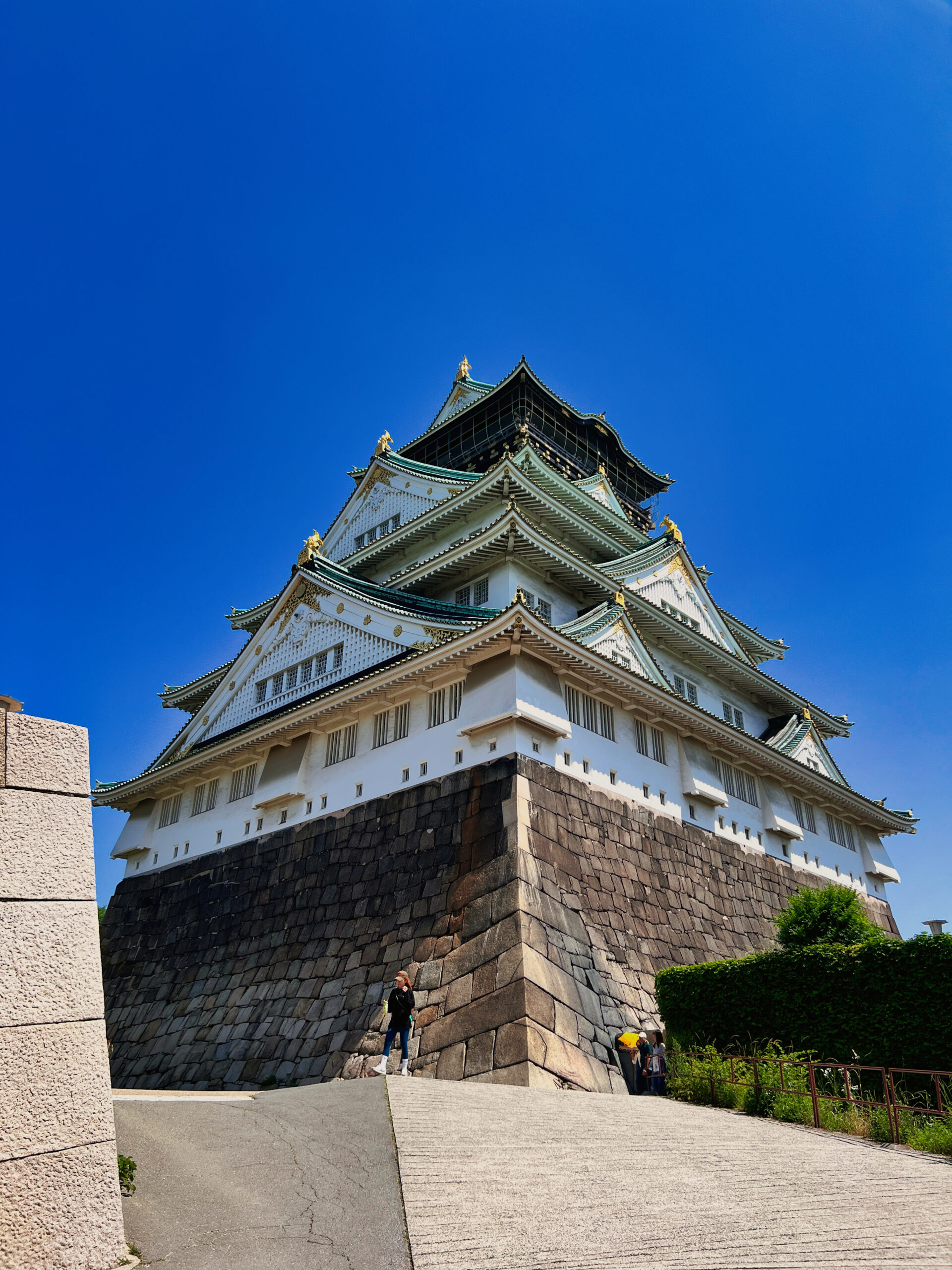 青空を背景に見上げる大阪城天守閣と石垣(2024年6月撮影)