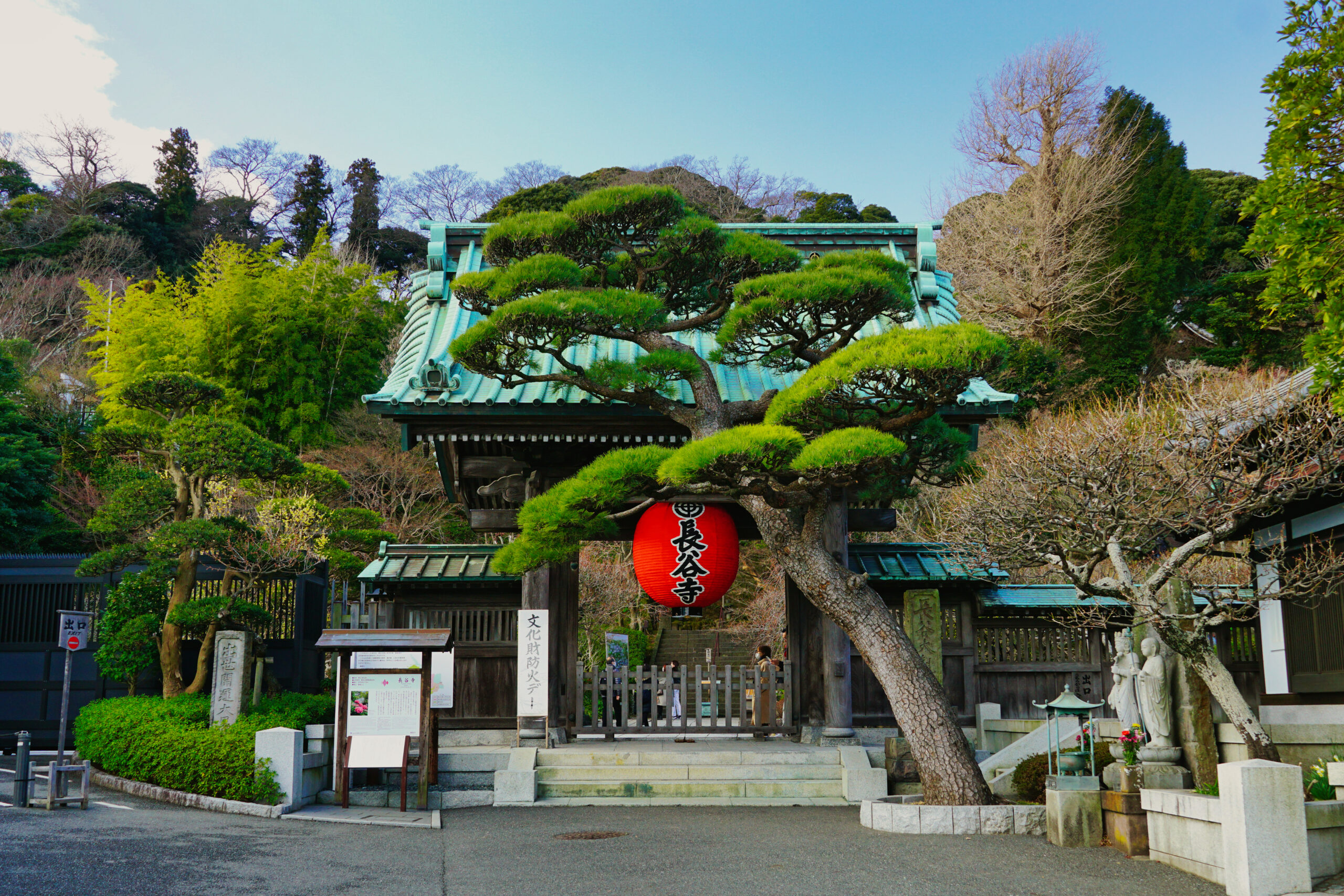 赤い提灯と松の木がある鎌倉・長谷寺の山門(2023年1月撮影)