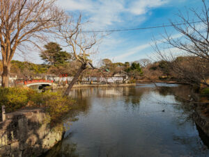 鶴岡八幡宮境内の池と赤い橋
